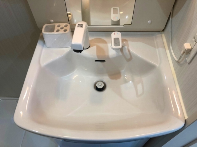 ラ・ルーチェ与野3階 洗面