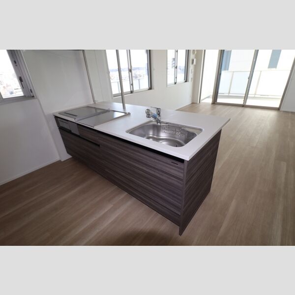 THE RejuvePort KISARAZU0704号室 システムキッチン