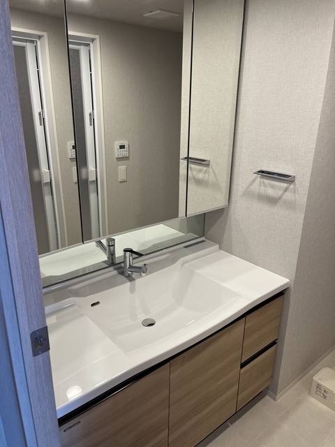 セントガーデン海老名Ⅰ街区1132号室 洗面