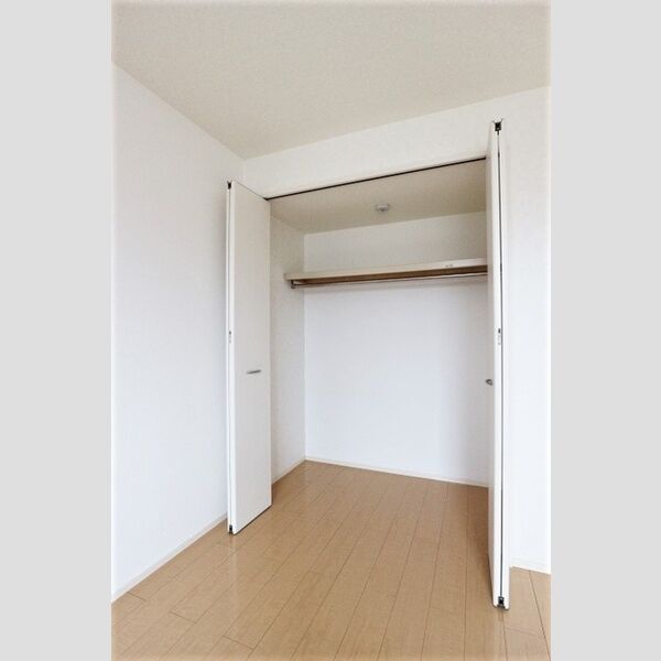 ラフォーレ上ノ台　B305号室 クローゼット