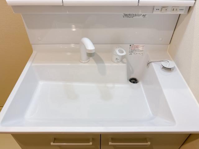 ル・ドージュ1階 洗面