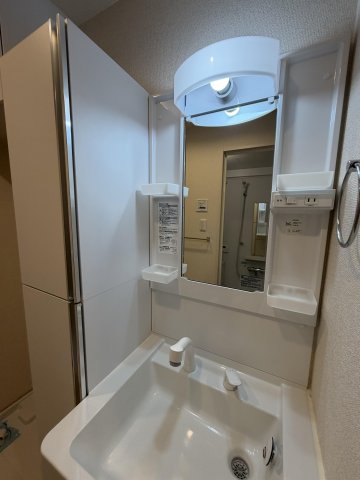 グランピエール403号室 洗面