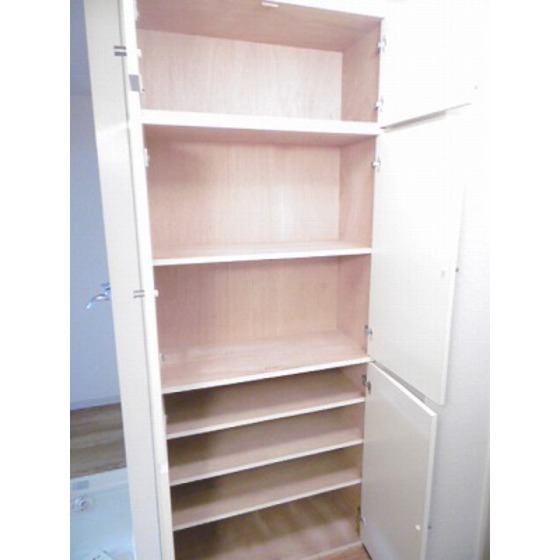 メゾン丸十0802号室 シューズボックス