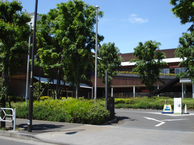 ルミナス国立Ⅰ サンドラッグ若葉ケヤキモール店まで1,238ｍ