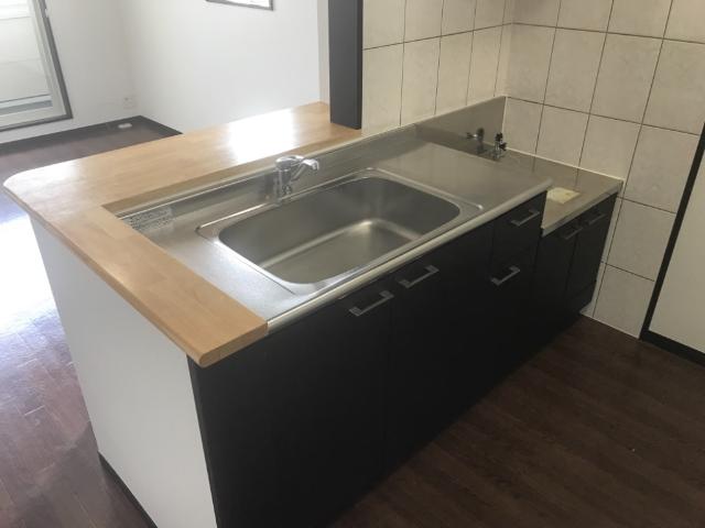 リリー・オブ・ザ・バレー201号室 カウンターキッチン