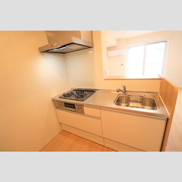 Delasse Kowa Ⅱ システムキッチン