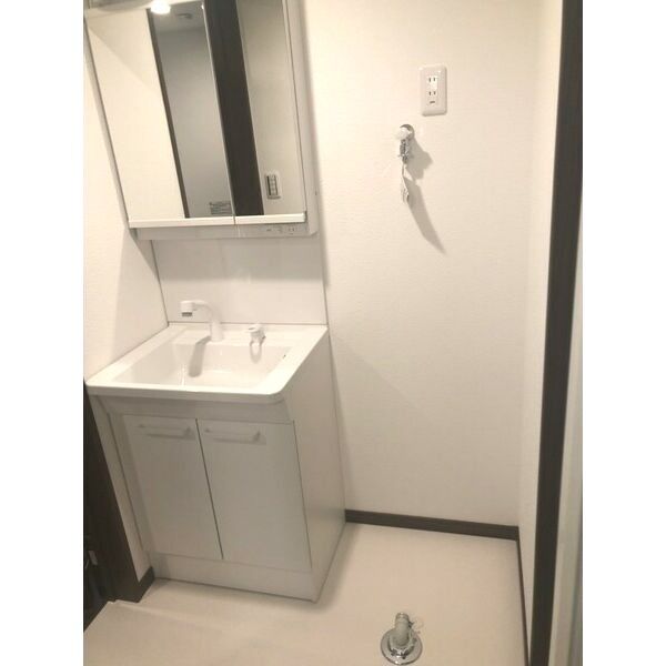 エレ・シャルム墨田301号室 洗面