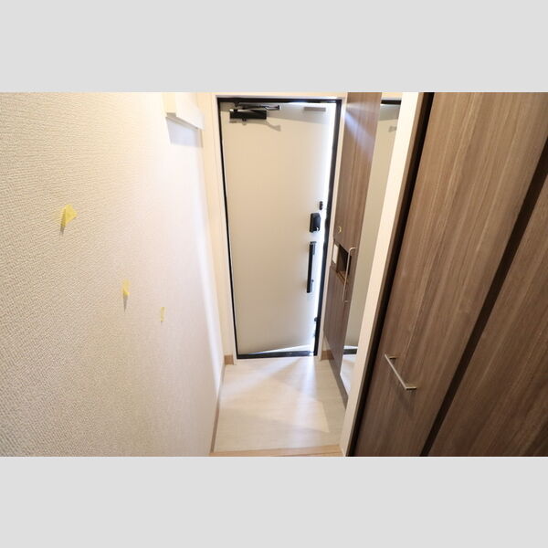 バニュルス　Ⅵ203号室 玄関