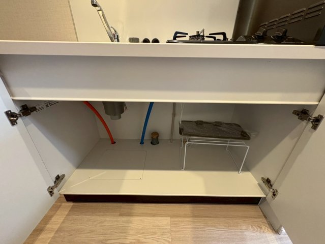 DIPS西新井404号室 収納