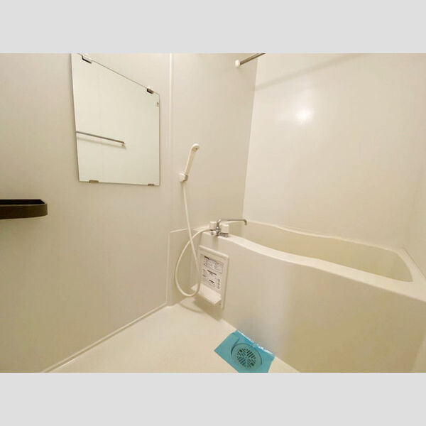 メゾン テラ 305号室　バスルーム