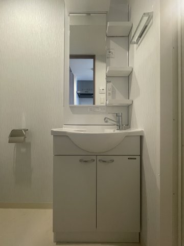 エヌステージ秦野駅前0404号室 洗面