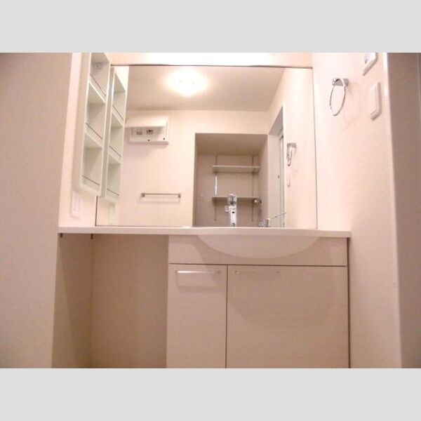 フローラハウス 洗髪洗面化粧台