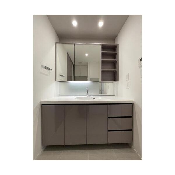 HARUMIFLAG　SUN　VILLAGE　A棟902号室 洗面