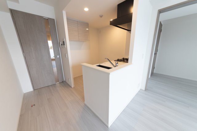 RESIDENCE　KOENJI301号室 キッチン