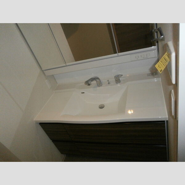 ロイジェントパークス錦糸町505号室 洗髪洗面化粧台