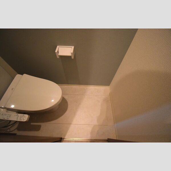 Dフラット乞田 トイレ