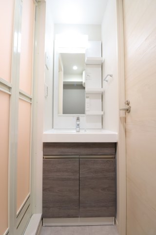 GENOVIA西川口Ⅱ0317号室 洗面