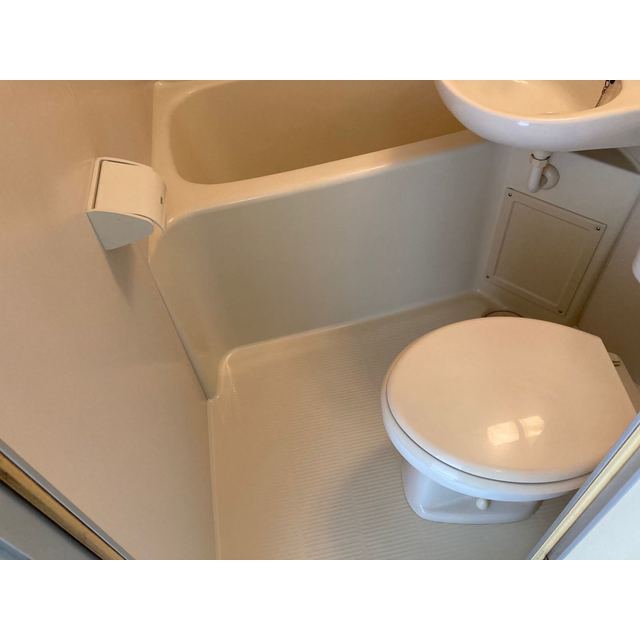 アマリリス212号室 内観