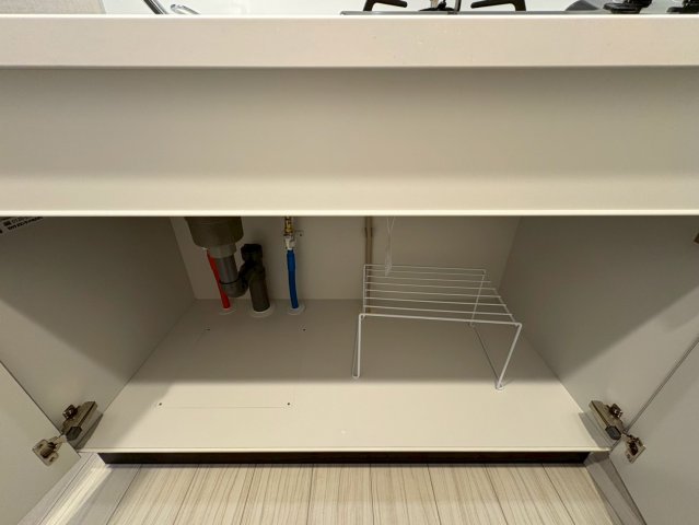 DIPS四ツ木207号室 収納