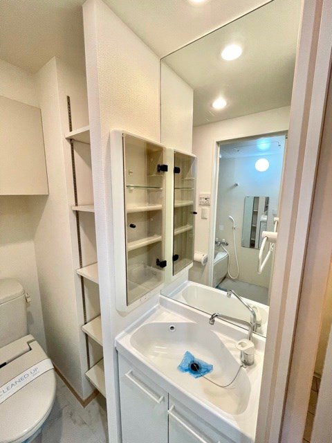 レジディア大森6階 洗面