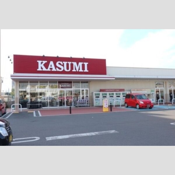 リコリス101号室 カスミ柏たなか駅前店　1,062m