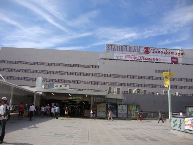 Ｆｅｌｉｃｉａ　ａｍｅｌｌｏｉｄｅｓ 柏駅(JR　常磐線)まで5,550ｍ