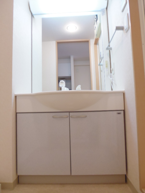 トレセリア横山0905号室 洗面