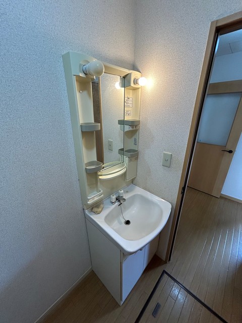 スターバレー 洗面