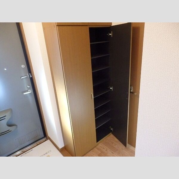 リビングタウン松ヶ島　B305号室 シューズボックス