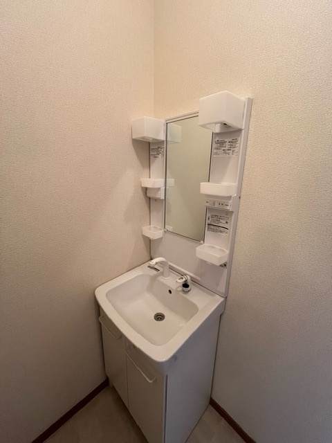 メゾン南大沢ＢB102号室 洗面