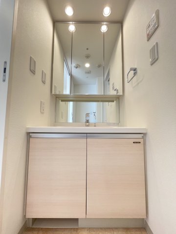 グラントゥルース東向島502号室 洗面