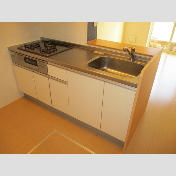 グレイスコート 103(キッチン)