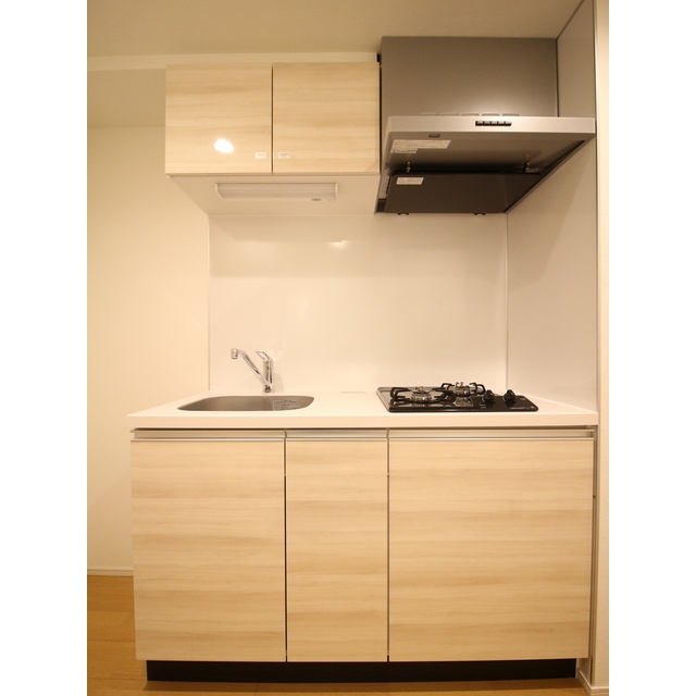 プレール・ドゥーク赤塚305号室 システムキッチン