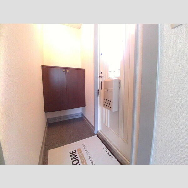 エクセル川端　A カウンタータイプのシューズボックス