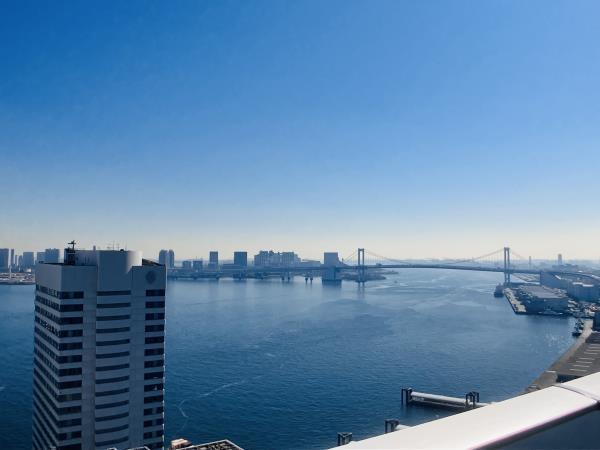 ＢｒｉｌｌｉａＴｏｗｅｒ浜離宮30階 部屋その他
