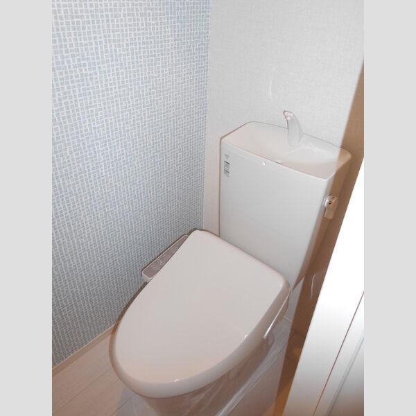 ビューテラス105号室 トイレ