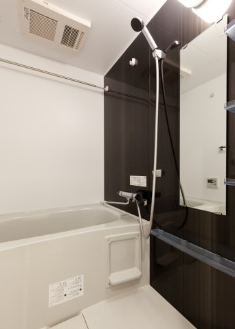 DIPS十条仲原WEST803号室 お風呂