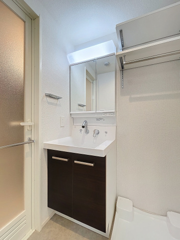 アイル グランデ川口210号室 洗面