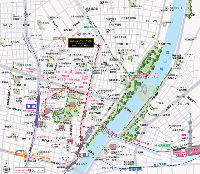 ガーラ・アヴェニュー浅草11階 null