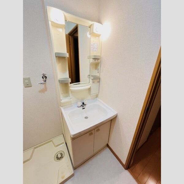 フレアウエスト103号室 洗面所