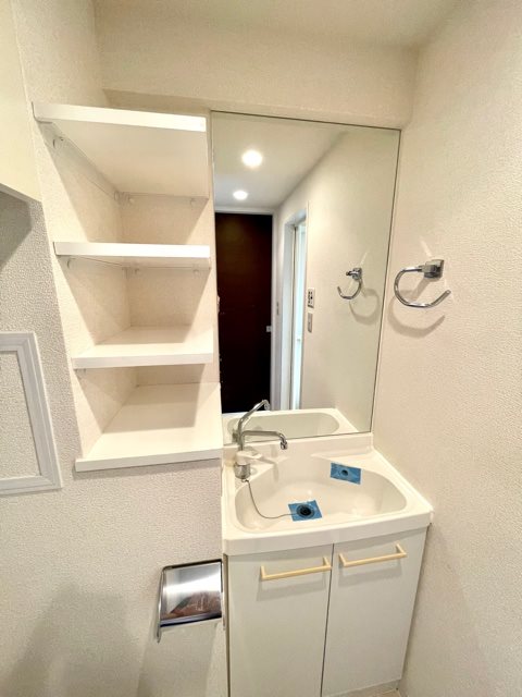 レジディア市谷薬王寺5階 洗面