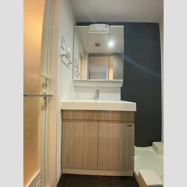 S-RESIDENCE両国avenue 洗面