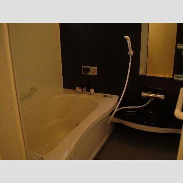 エスポワール柳崎101号室 ユニットバス(1坪タイプ)