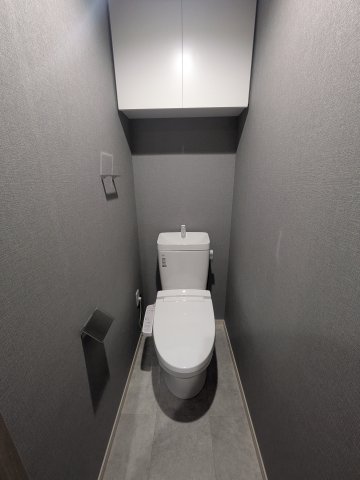 GENOVIA妙典Ⅱ0110号室 トイレ