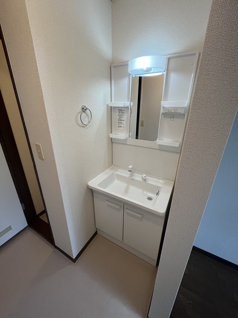 東松原ハウス0201号室 洗面