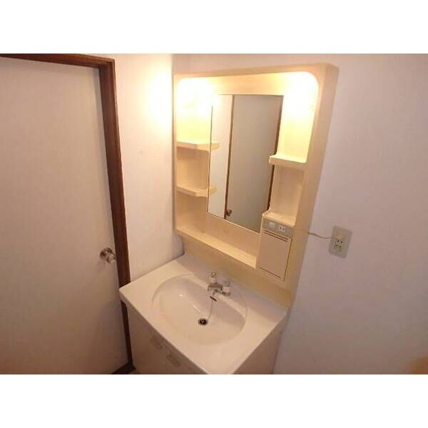 グリーンハイツ(小平市) 洗面