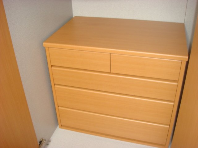 ペティハウス壱番館 収納