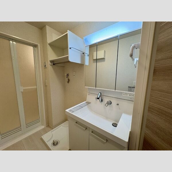 Premiere Y302号室 洗面所