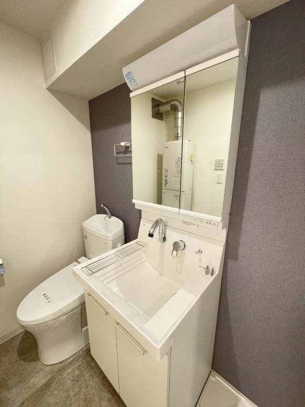 アルファキューブ上十条4階 洗面