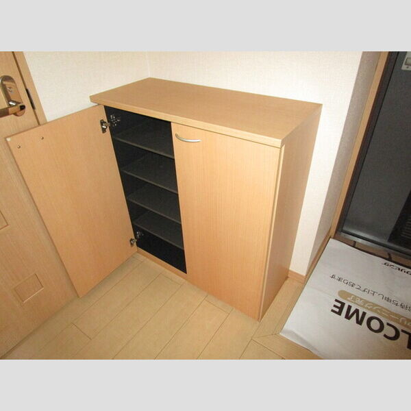 サニーウェル シューズボックス